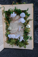 Ghost book