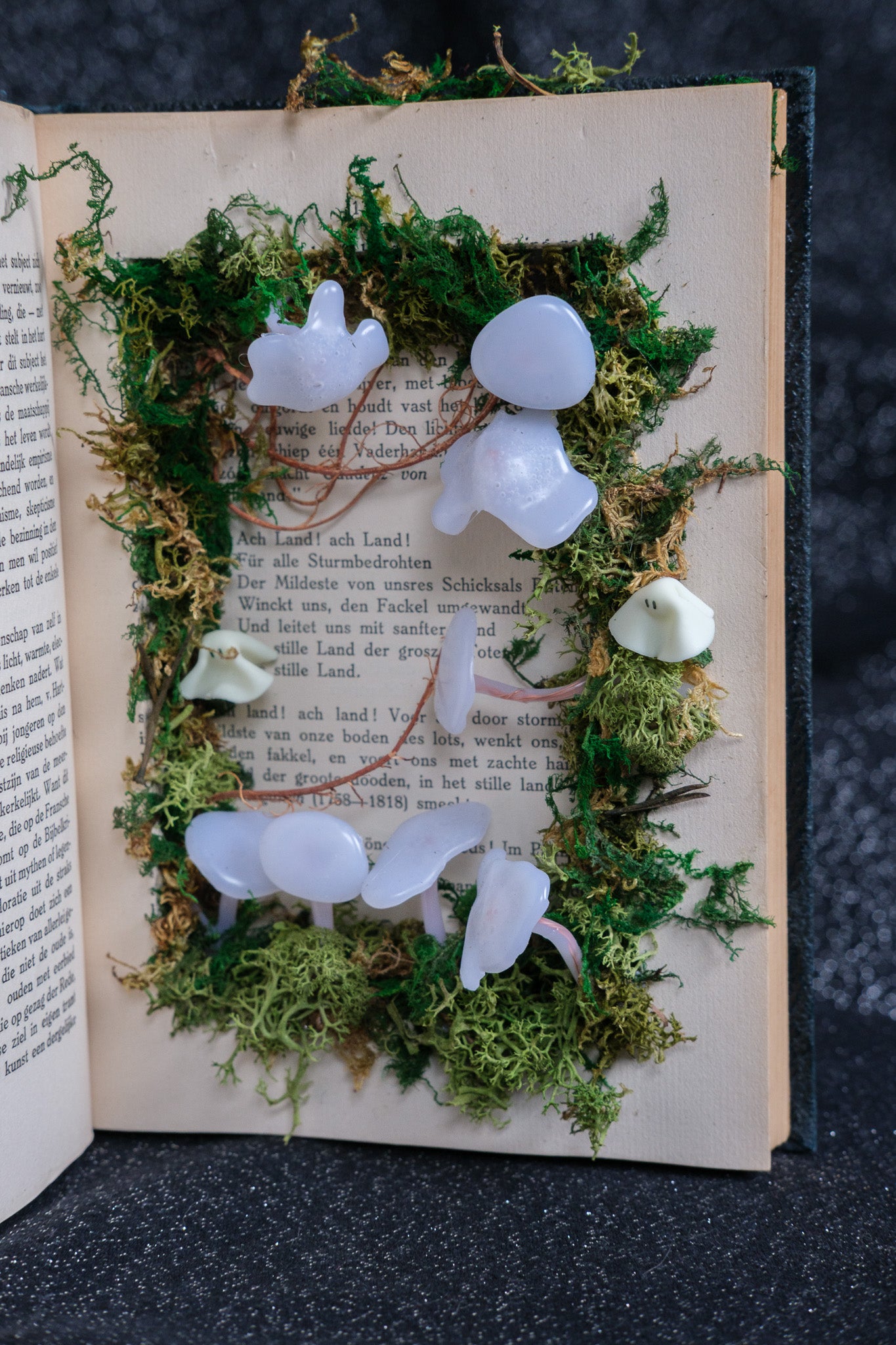 Ghost book