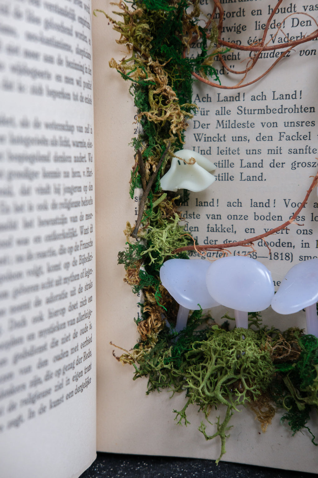 Ghost book