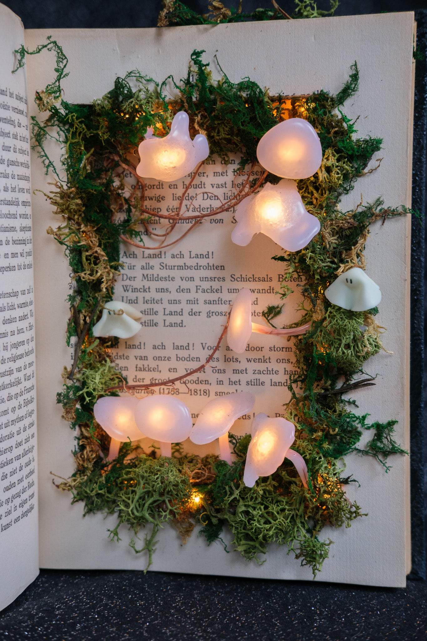 Ghost book