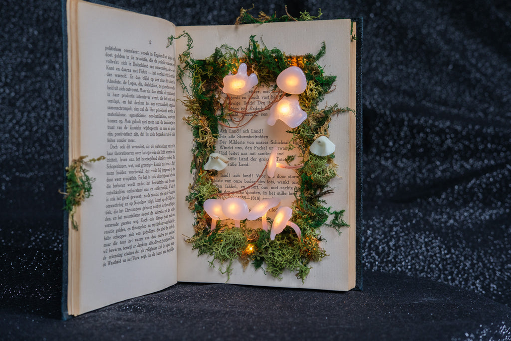 Ghost book
