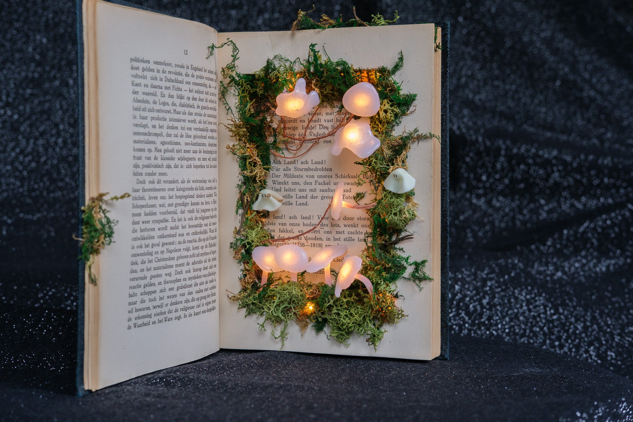 Ghost book