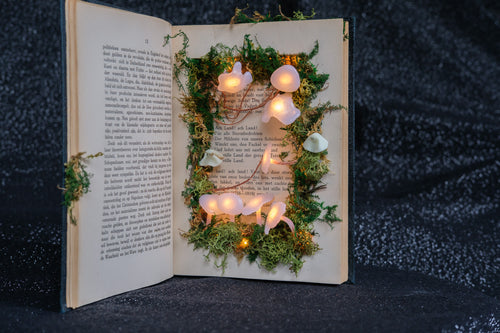 Ghost book