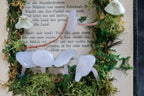 Ghost book