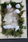 Anabelle Moore's Field Journal