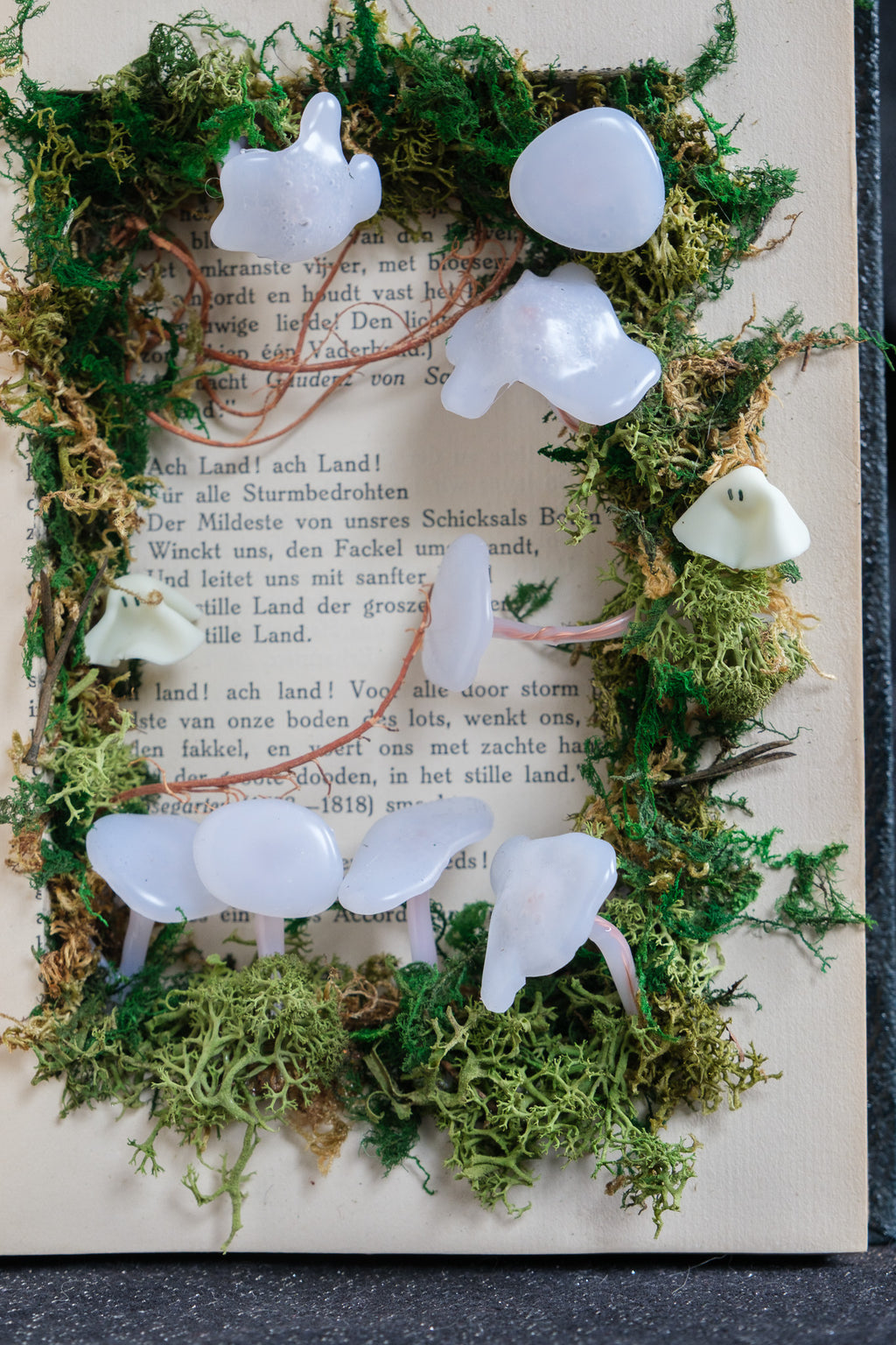Ghost book