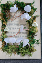 Ghost book